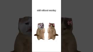 Famous Autism explained by cats #cats #autism #kitty Profile