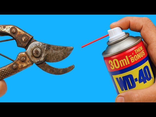 Try This Special Method and Your Trimming Scissors Become Razor-Sharp Instantly!