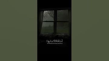 سورة {الغاشية} القارئ عبدالرحمن مسعد 🌿🤎