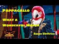 Pappagallo (Il Cantante Mascherato) - What a wonderful World (Bass Cover)