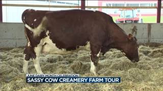 Sassy Cow Creamery Farm