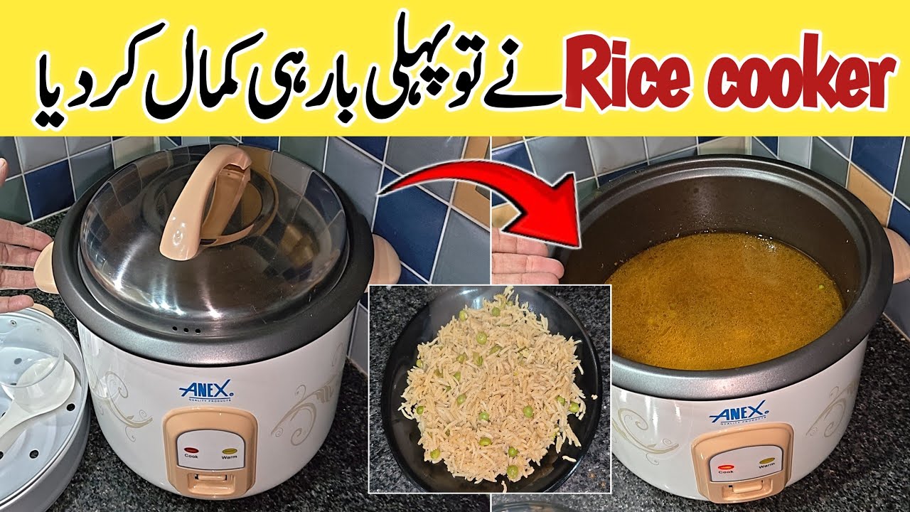 Electric Rice cooker Full Guide /How to use Anex Rice Cooker /Rice Cooker uses for different recipes