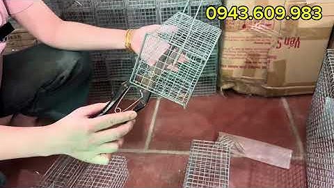 🐭🦊LỒNG BẪY CHUỘT ĐƯỜNG MÒN, CỐNG NHUM, SÓC ĐẤT, TẶNG LÒ XO, CÓ BẢO HÀNH ❤️🔥