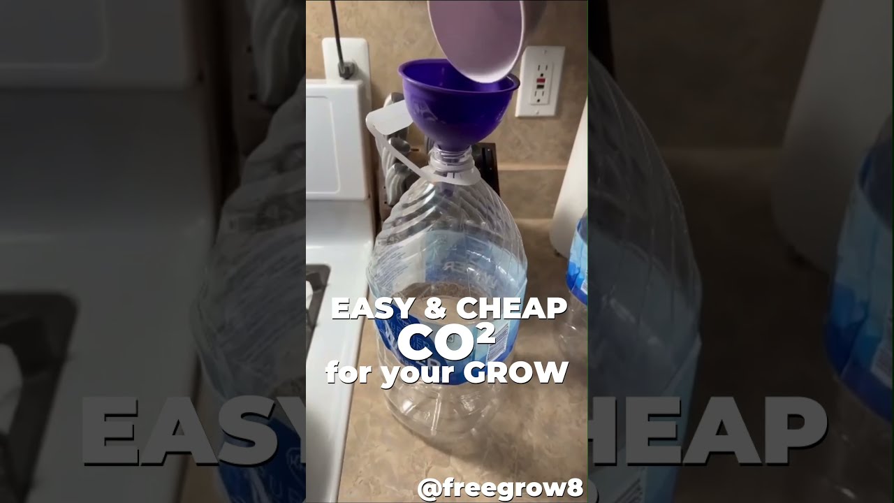 Boost Your Buds Easy Cheap CO2 For Grow Fast Grower Tip By Freegrow8 Shorts