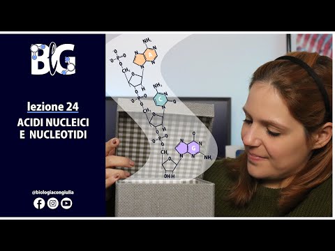Video: Un nucleotide ha 6 zuccheri di carbonio?