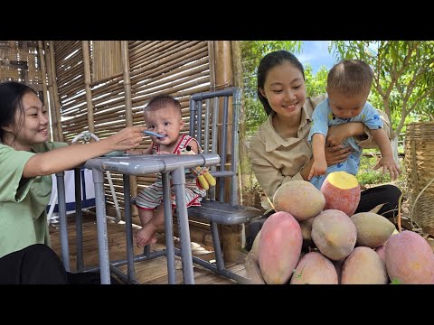 Dev mangoları hasat etmek,başı dertte olan yaşlı kadına yardım etmek,annem için endişelerim|DiệuHân