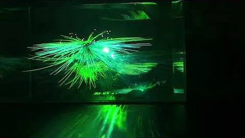 以身化石｜交互艺术装置  Moving Fossil | Interactive art installation - 天天要闻