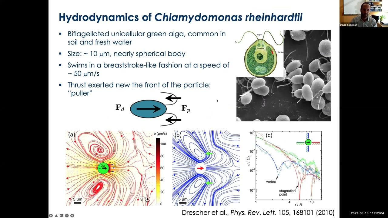 David Saintillan, tutorial: Rheology of active suspensions