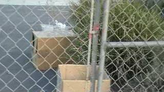 Where is Menifee Code Enforcement ?