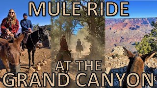 GRAND CANYON MULE RIDE | South Rim Kaibab Trail Video