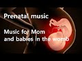 Prenatal care music Pregnant woman rest & babies in the womb Music for fetal brain IQ EQ development