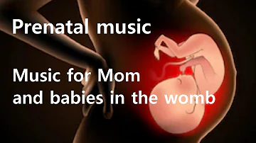 Prenatal care music Pregnant woman rest & babies in the womb Music for fetal brain IQ EQ development