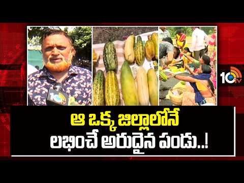 Special Story On Budima Pandu | ఆ ఒక్క జిల్లాలోనే లభించే అరుదైన పండు..!  | 10TV - 10TVNEWSTELUGU