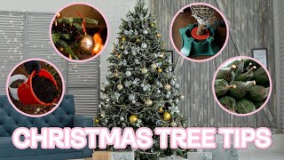 8 ways to help your Christmas tree last longer