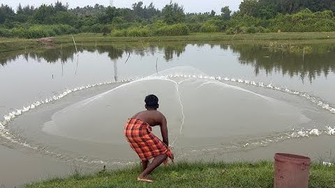 Unbelievable Cast Net Fishing Videos - Catching Lot of fish by cast net | Net fishing videos 