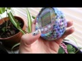 Tamagotchi 4u  4u  thoughtsreview