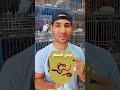 علاج ترويق البيض عدم التخصيب  حمام النفاخ  ابومريم التونسي علاج التخصيب