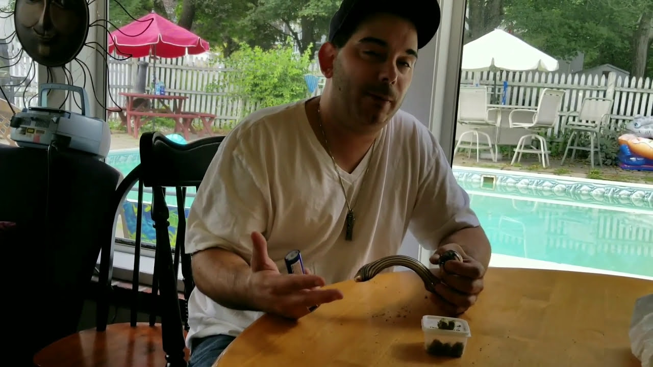 Sweet Tooth Strain Review