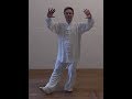 Jeanpierre peyruseigt qi gong sant shi er fa les 12 mthodes du daoyin yangsheng gong en miroir