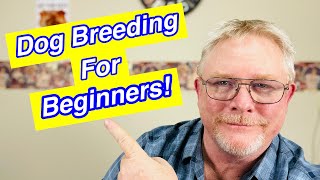 How To Breed Dogs - 5 Tips For Beginners! screenshot 1
