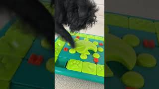 Dog Puzzle Game - MultiPuzzle by Nina Ottosson screenshot 2