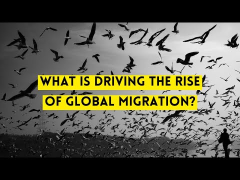 Video: Vai starptautiskā imobilizācija ir reāla?