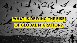 Famous What is Driving the Rise of Global Migration? Profile