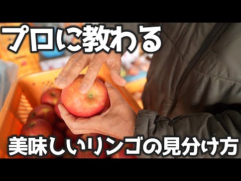 「主婦必見」生産者に聞く！スーパーで【美味しいリンゴの選び方】「ふじ」編