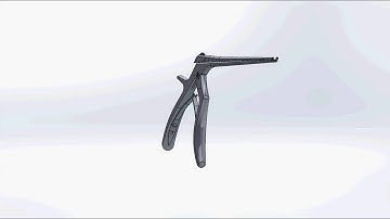 clip 3Dmodel