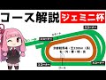 【ウマ娘】ジェミニ杯に向けて京都芝外回り3200mを完全解説! 注意したい終盤の420mや区間ごとの推奨スキルも検討