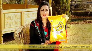 Pofak Loosi Music Tvc