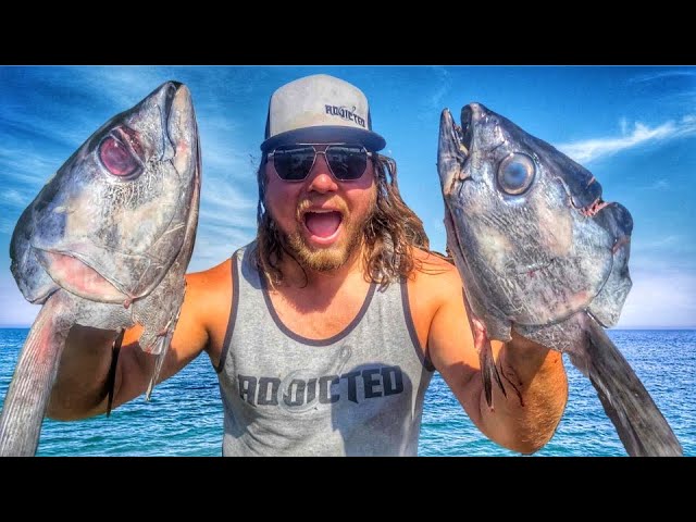 Tips for Catching Albacore Tuna