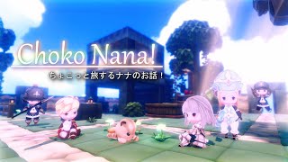 Nintendo Switch - てとちょこ様 The-Silver-Case-2425---