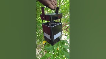 Diy Mosquito Trap #diy #shorts
