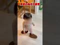 靴下嫌いやのにコレだけは唯一履く1歳児