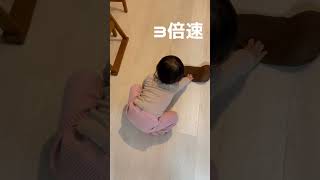 靴下嫌いやのにコレだけは唯一履く1歳児