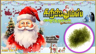 Merry Christmas Wishes Hd Banner whatsapp status background video song