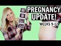 PREGNANCY UPDATE! [Weeks 9-12] We Know The Gender! Prenatal Blood Test Results!