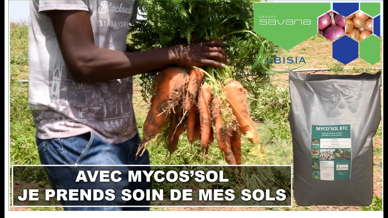 MYCO'SOL : LES PRODUCTEURS CONFIRMENT L'EFFICACITE DU PRODUIT