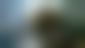 Skyrim Intro Brainrot 2