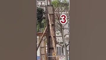 Nguyên nhân khiến cột bê tông bị rỗ, gia chủ nhất định phải biết |Sàn phẳng không dầm |Tbox Việt Nam