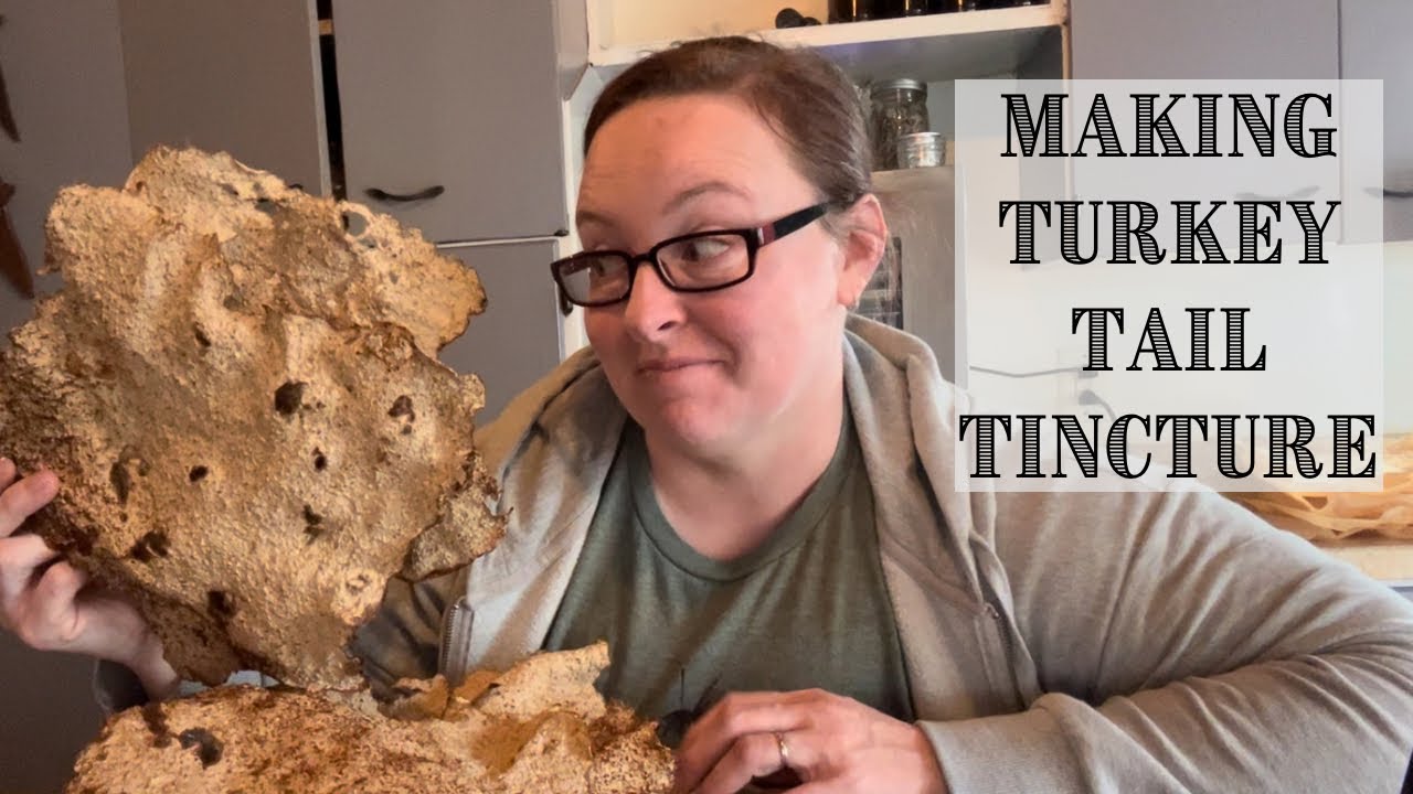 Turkey Tail Mushroom Tincture Making Turkey Tail Tincture YouTube turkey-tail-mushroom-tincture-making-turkey-tail-tincture-youtube
