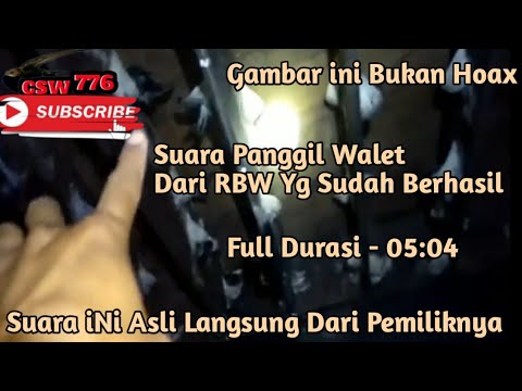 SUARA INAP JADUL 🔥🔥 | Bikin BW Semakin betah di dalam gedung ‼️