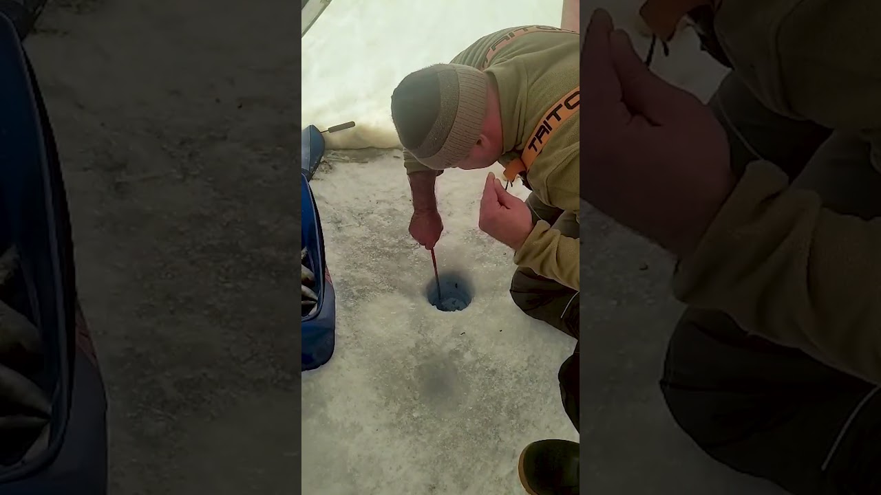 28.02.26 Совка. КВХ