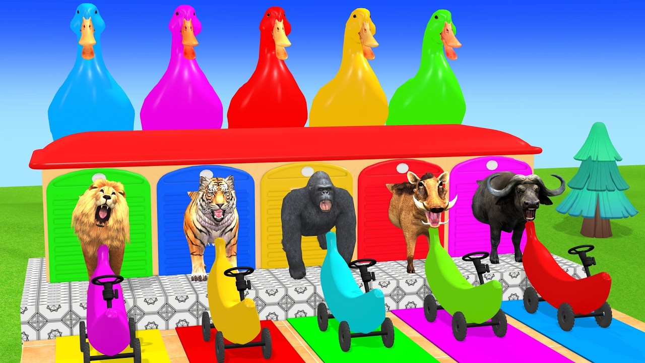 Long Slide Game With Cow Elephant Gorilla Hippopotamus Tiger 3d Animal Game Funny 3d AnimalsVideo