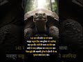 "Gramma the Tortoise 🐢 Dies at 141 Years old" #motivation #viral #trending #shorts #reels #youtube