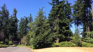 Directions to Garage Sale From Safeway