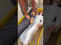 فتح علبة دمى الأزواج
