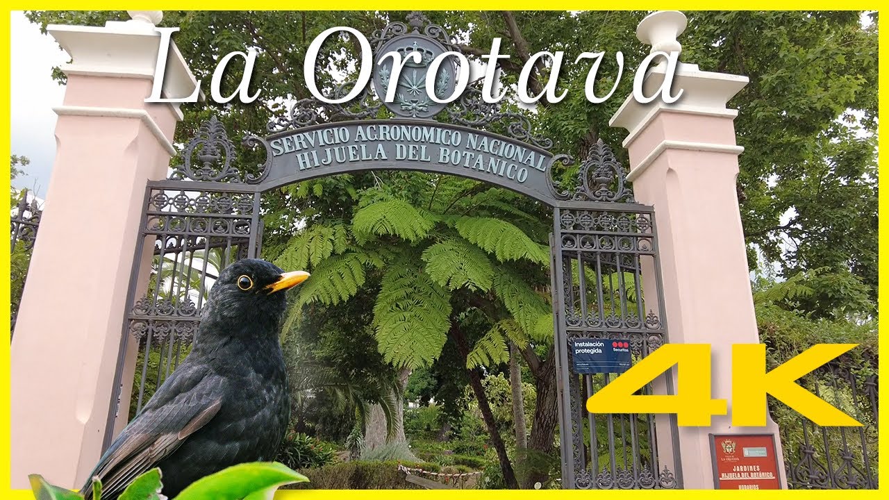 Botanical Garden in La Orotava, Tenerife. Peaceful walk among tropical plants with birds singing