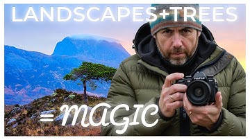 How to Photograph Trees in the Landscape | Tips for Stunning Tree Photography